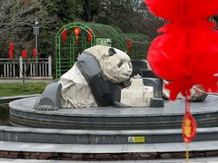 -中国大熊猫保护研究中心雅安碧峰峡基地