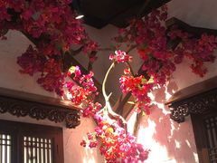 -浩海火烧云傣家菜(京广店)