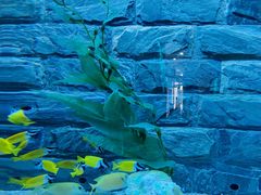 -新疆天山野生动物园