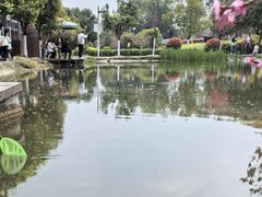 -洪湖家庭农场·团建·露营·会议