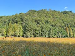 -贵阳市花溪国家城市湿地公园