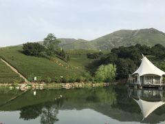 -帐篷客·溪龙茶谷度假酒店