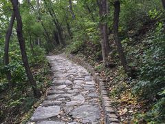 -北京上方山国家森林公园