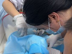 -成都民大动物医院