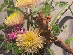 -曲水兰亭(北京四惠店)