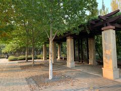 -永定河休闲森林公园