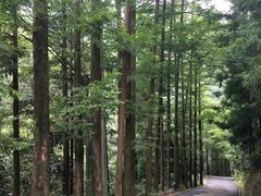 -安吉龙王山峡谷漂流