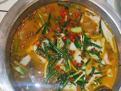 -麻小度青花椒鱼蛙火锅