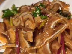 -蝴蝶汇音乐酒馆(罗湖店)