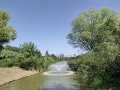 -翠湖国家城市湿地公园