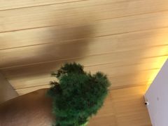 -全季酒店(上海徐家汇肇嘉浜路店)