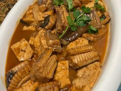 -大连湾旭日·家宴·海肠捞饭(马栏广场店)