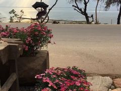 -明月山庄私房菜(环海东路店)