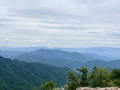 -王顺山国家森林公园