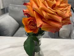 -卓花境Flowerwonderland花店