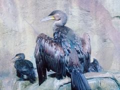 -哈尔滨波塞冬海底世界