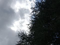 -陶祖圣境风景区