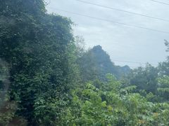 -广西龙虎山风景区