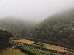 -翠茗农庄土菜馆(天目湖店)