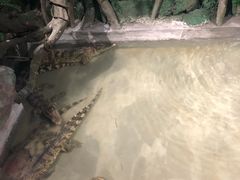-乌鲁木齐海洋馆
