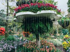 -桃花涧