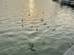 -蠡湖大桥公园