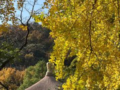 -潭柘寺景区