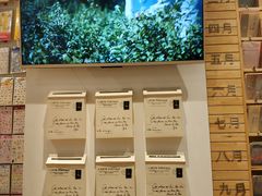 -猫的天空之城概念书店(杭州南宋御街店)