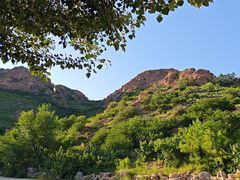 -红山国家森林公园