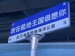 -海合安武汉极地海洋公园