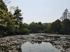 -杭州植物园