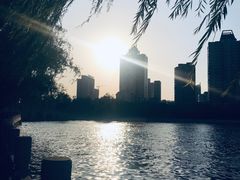-迎泽公园