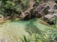 -南海湾森林生态园