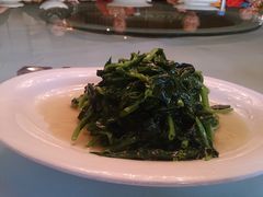 清炒豆苗-苏浙汇(朝外店)