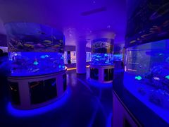 -上和臻品中国菜(花园街店)