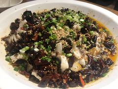 -三猫黑鱼花(南大店)