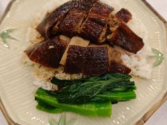 -沙田新强记烧鹅海鲜酒家