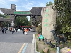 -溱湖国家湿地公园