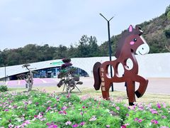 -野狸岛
