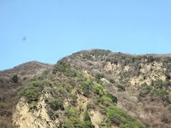 -盛世牡丹苑生态文化旅游区