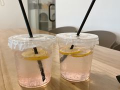 -有喵·猫咖·狗咖·30几只猫10只小狗(岗厦店)