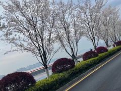 -钱塘江