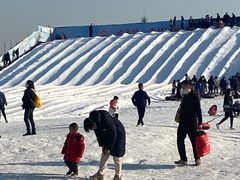 -绿野森林乐园冰雪季