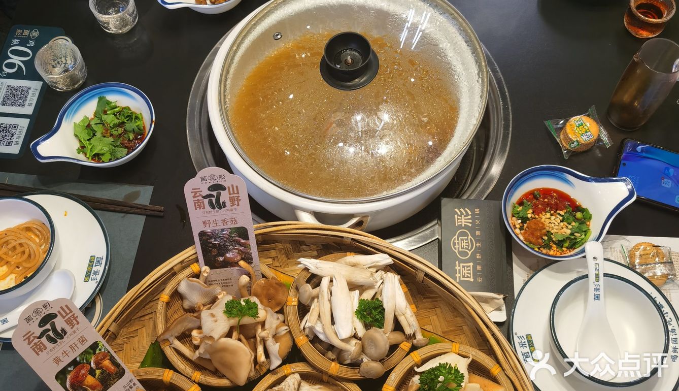 吃jier，一口鲜掉眉毛的山野冒险！🍄