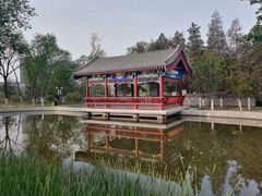 -西海子公园