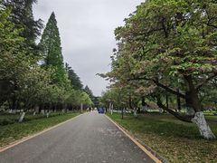 -花溪公园