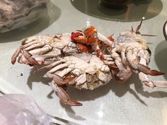 -大铁勺新津菜(东丽阳光新业广场店)