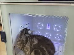 -熊小胖宠物生活馆(天华园店)