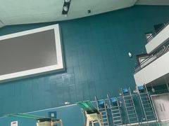 -重庆市奥林匹克体育中心-游泳跳水馆