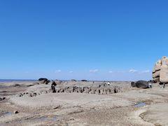 -辽宁团山国家级海洋公园